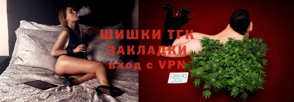 индика Армянск