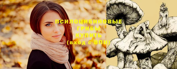 не бодяженный Арсеньев
