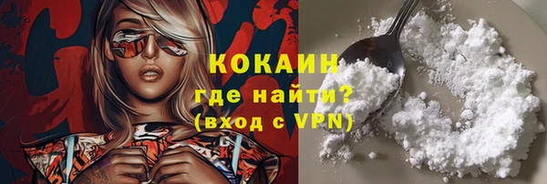 индика Армянск
